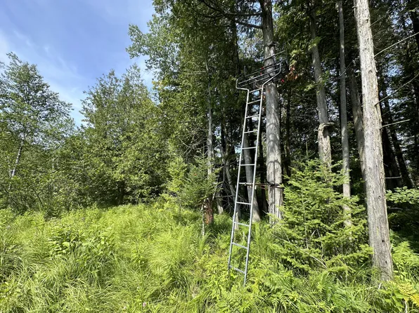 0 W Bawkey Rd, Farwell, MI 48622