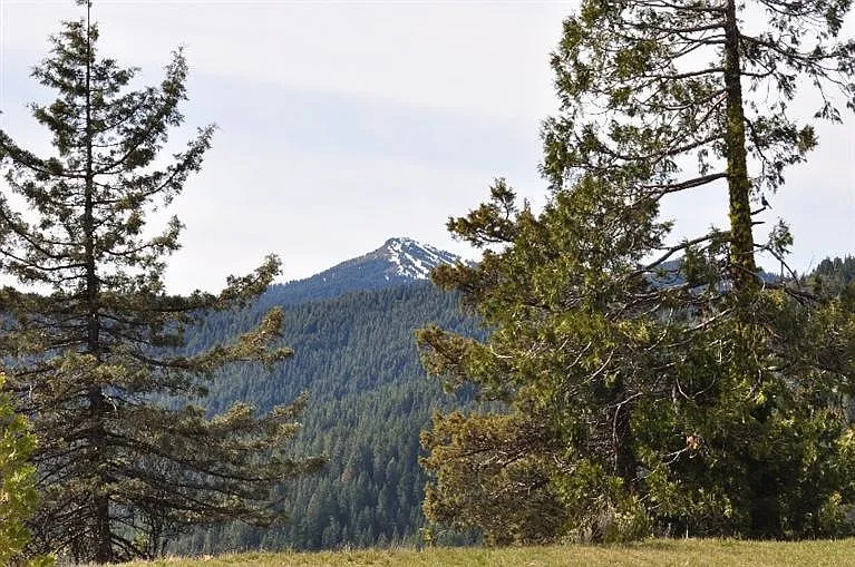 9344 Mount Ashland Ski Rd photo 1
