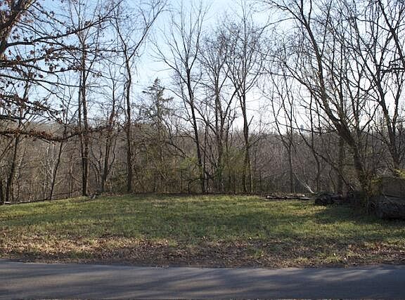 2nd image of 550 N 10th Avenue Lot 5