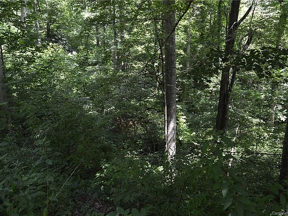 3rd image of 14 Timber Park Dr