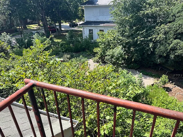2504 Vanderbilt Ave #3 — Photo 8