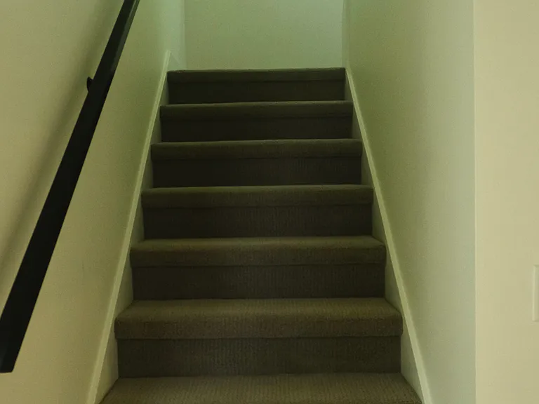 Wide carpeted stairs for quiet access, and large window for bright light and tree views.