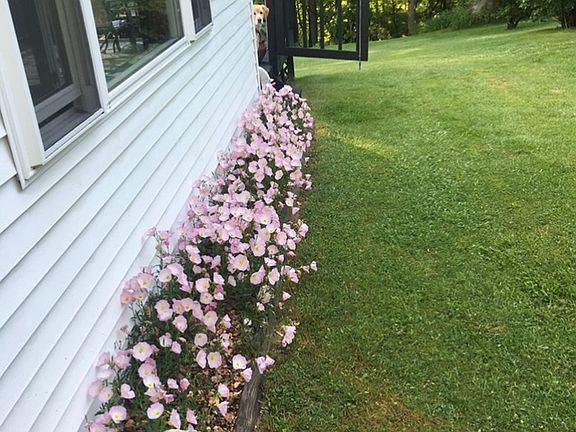 5th image of 603 Sullivan Rd