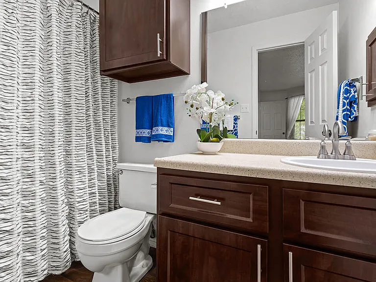 Bathroom with Storage Space