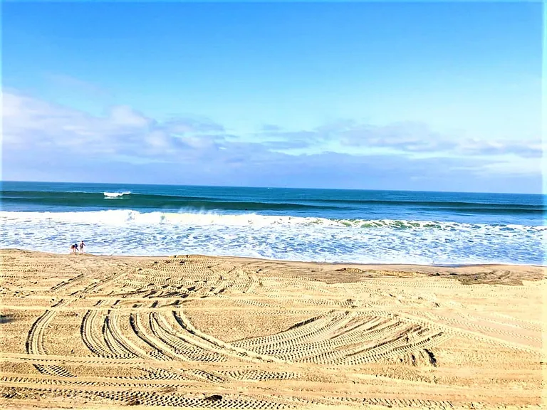 3237 Ocean Front Walk — Photo 44