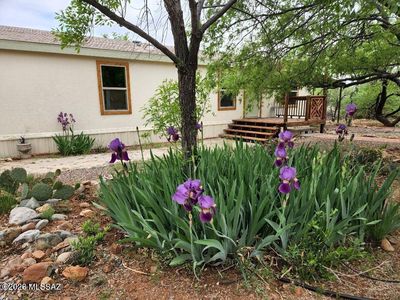 16140 N Elkins Rd, Tucson, AZ, 85739