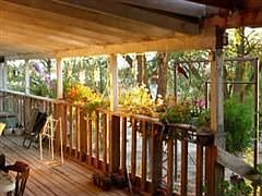 8775 deck faces west