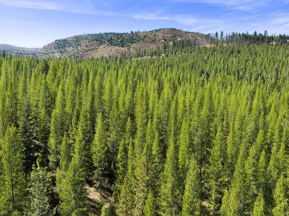 Nhn McGinnis Meadows Fishtrap Road Section #9, Libby, MT 59923