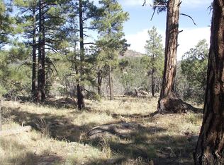 1614 Canyon View Loop, Williams, AZ 86046
