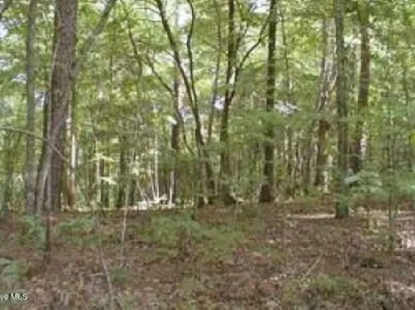 0 Panda Ln, Murphy, NC 28906