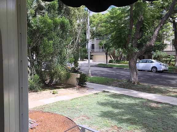 drought resistant landscaping
