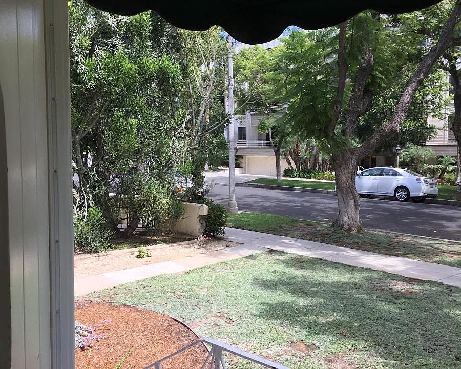 drought resistant landscaping