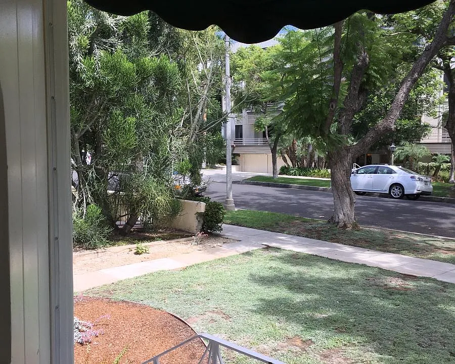drought resistant landscaping