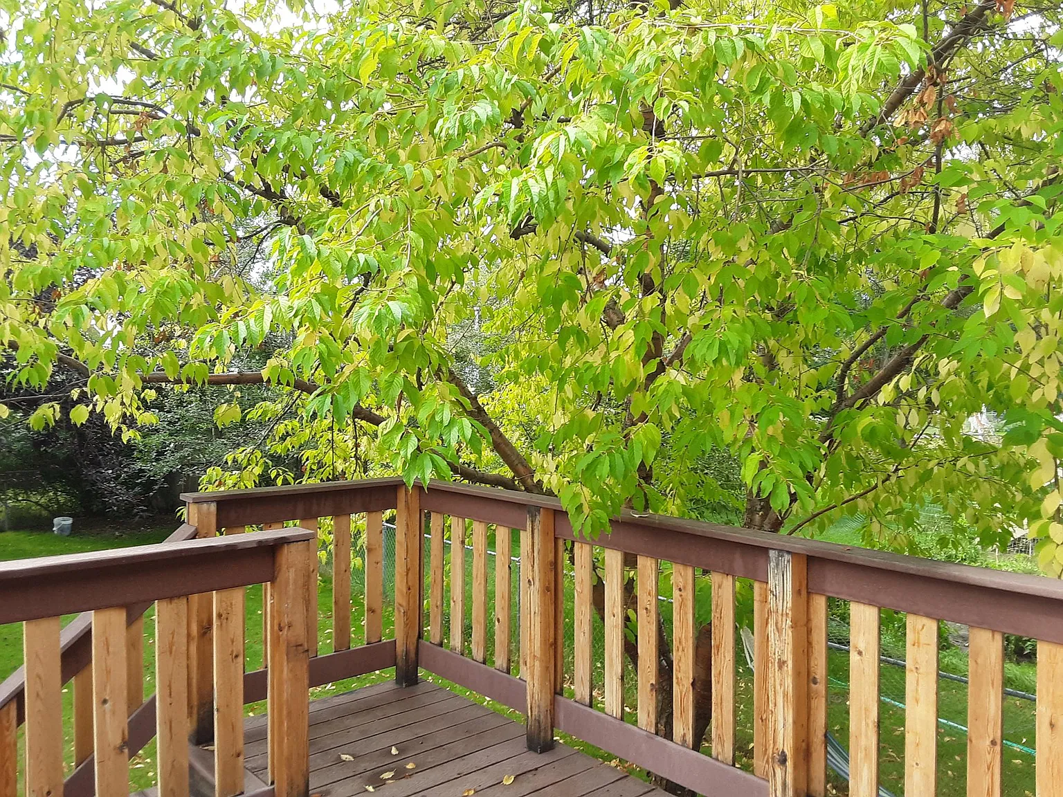 3 bed, 1872 sqft, $3,400 — Photo 2