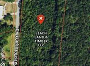 2971 Conehatta Prospect Rd, Conehatta, MS 39057