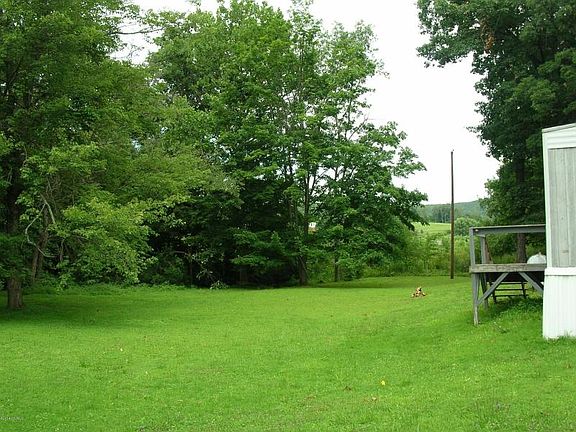 SMALL STREAM BEHIND TREE LINE.
