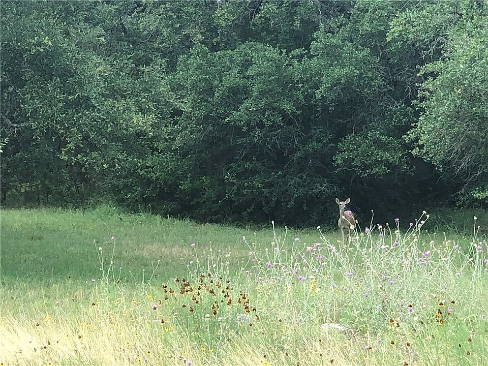 2nd image of 466 Condor Dr