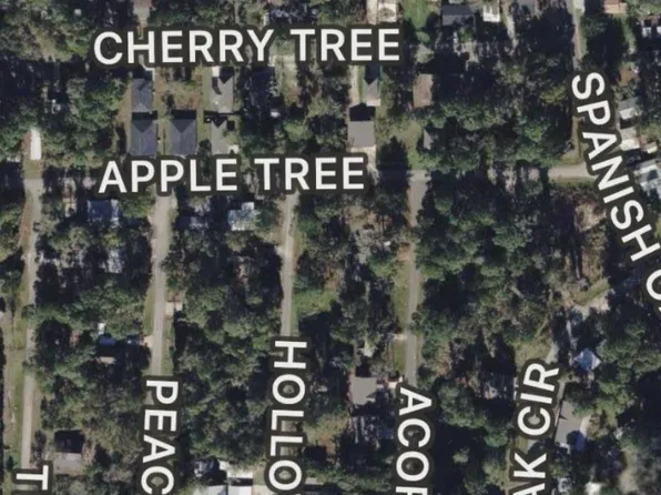 0 Apple Tree, Livingston, TX 77351