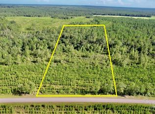 LOT 20 Mineral Springs Rd, Jay, FL 32565