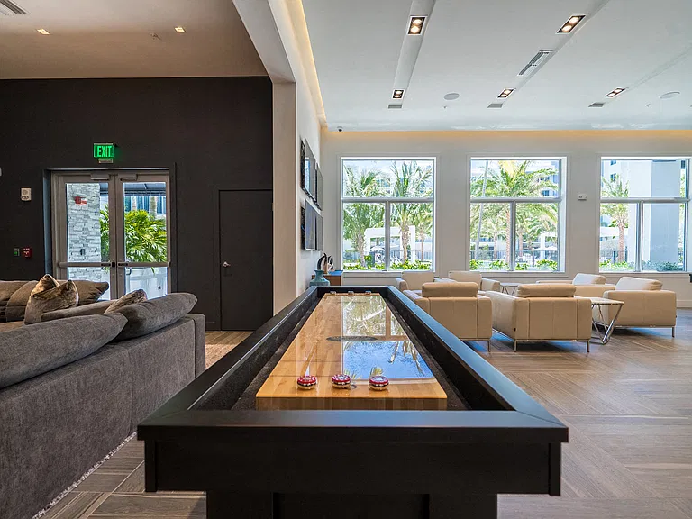 Shuffleboard