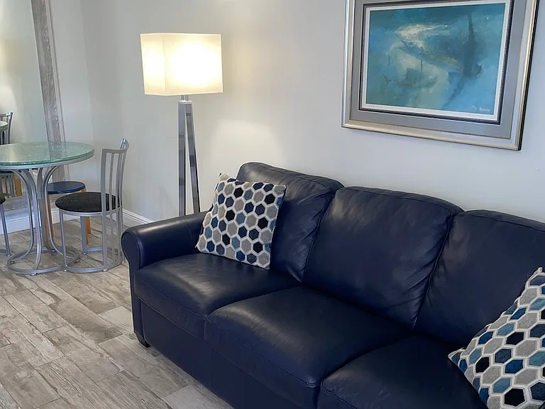 4658 Bougainvilla Dr #63 — Photo 4