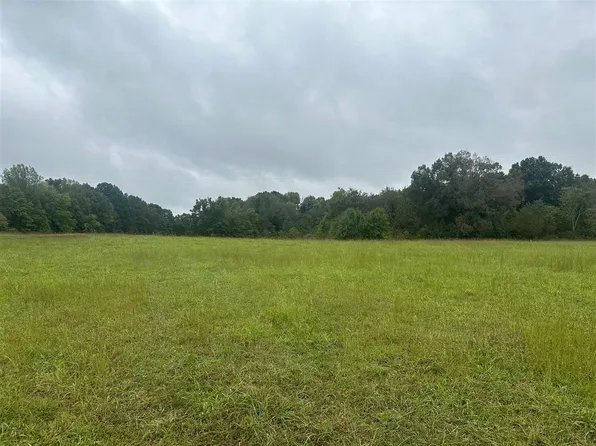 C W Jones Rd, Scottsville, KY 42164