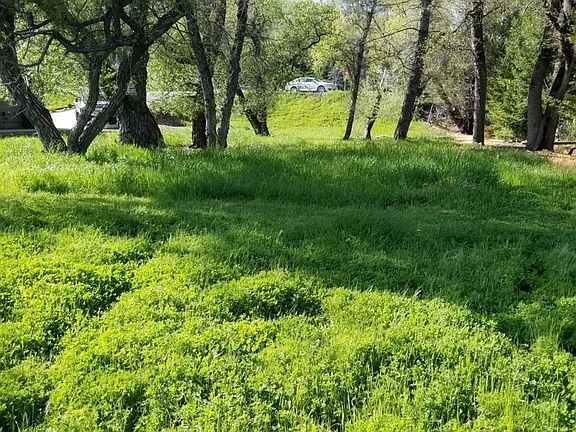 5th image of 19391 Wildflower Dr