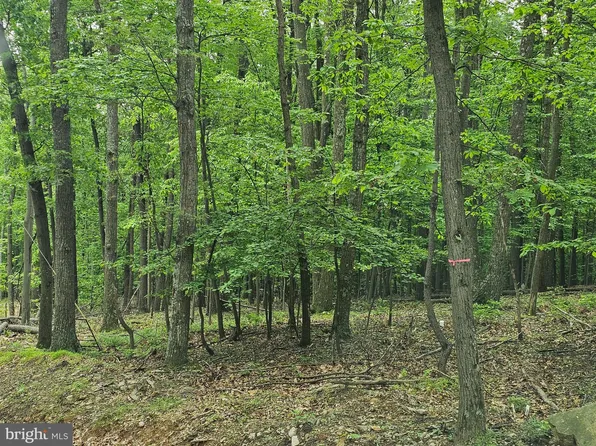 28 Rockford Rd, Great Cacapon, WV 25422