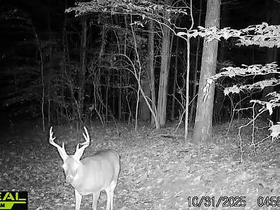 4th image of 187 Slygo Rd