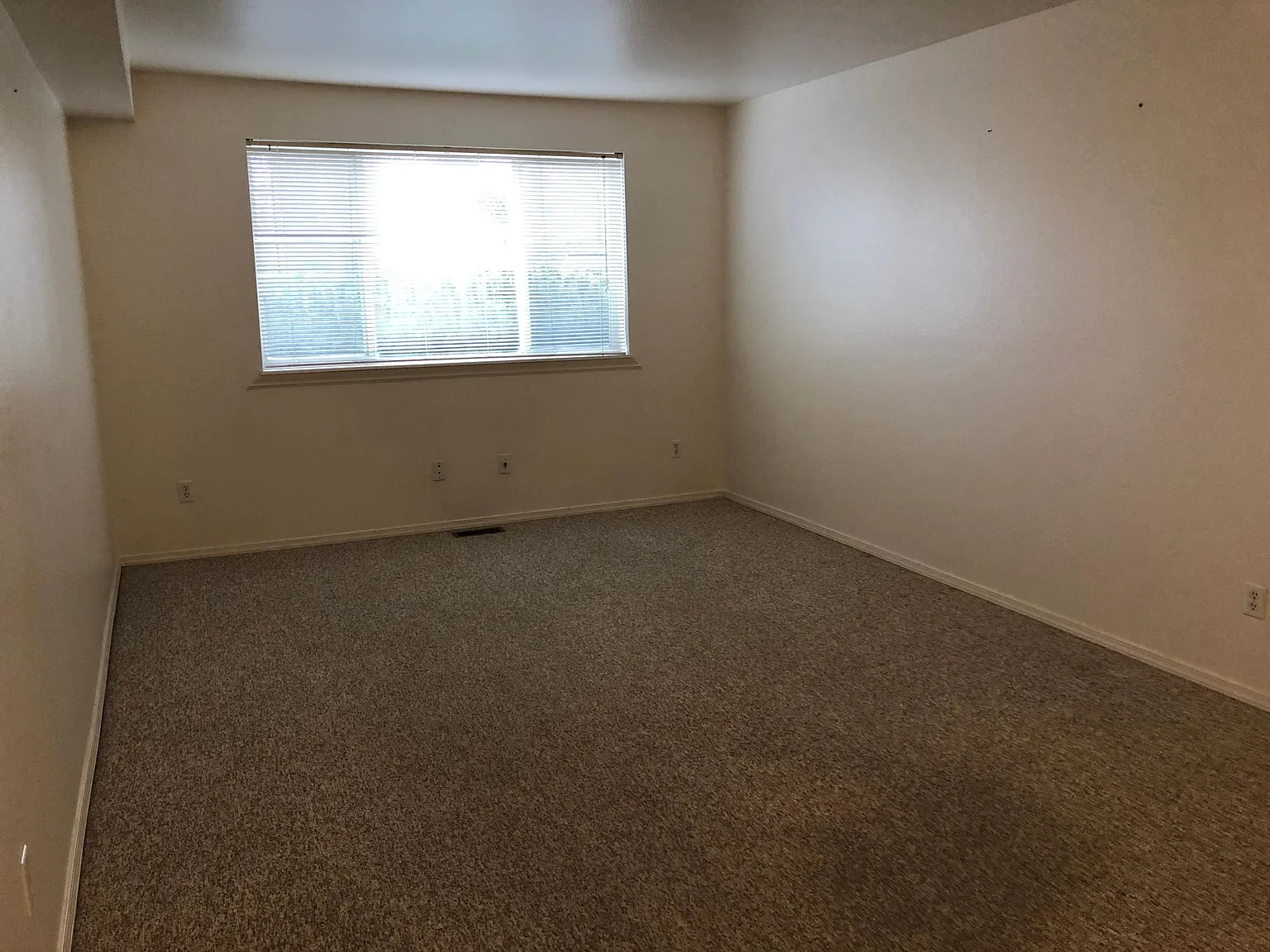 1 bed, 730 sqft, $1,150 — Photo 2