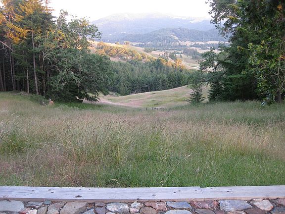 View from backyard