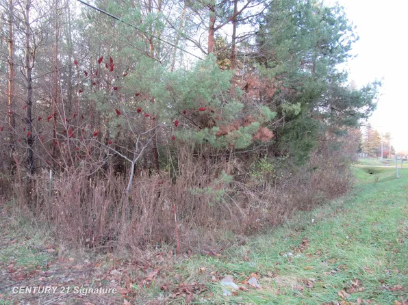9119 Seymour Rd, Flushing, MI 48433