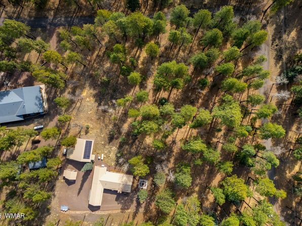 15 County Road 2050, Alpine, AZ 85920
