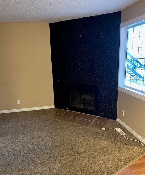 235 Fines Dr #2 — Photo 4