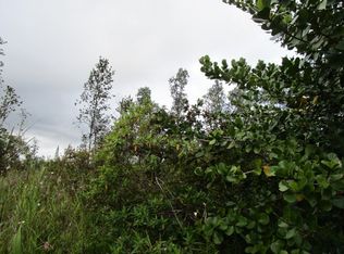 22nd Avenue Nanialii LOT 1201, Keaau, HI 96749