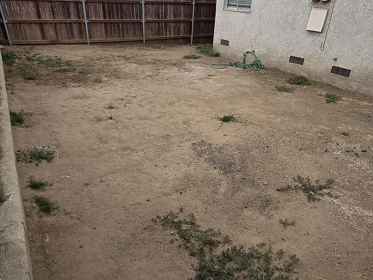 Fenced Back area