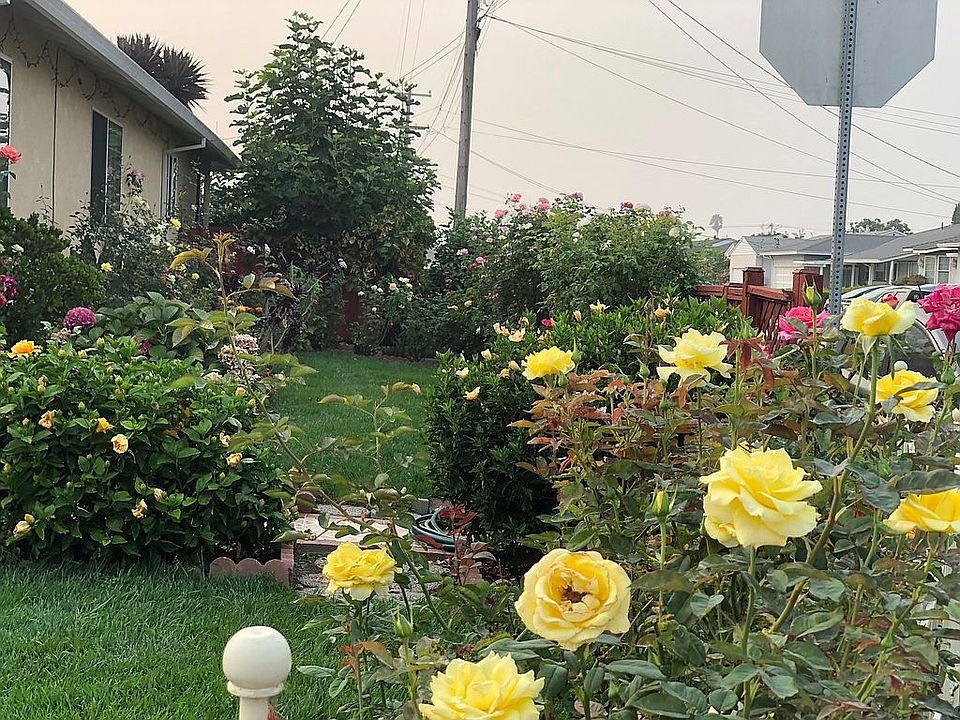 2nd image of 4815 Balboa Way