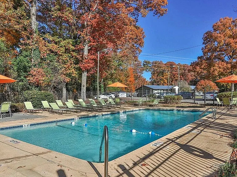 Sparkling Swimming Pool