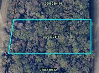 10435 E DEEP CREEK Boulevard, Hastings, FL 32145