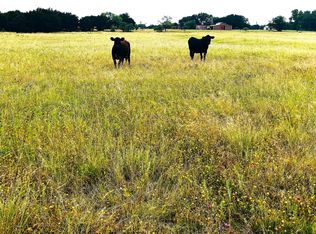 929 County Road 2357, Meridian, TX 76665
