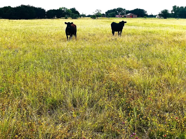 929 County Road 2357, Meridian, TX 76665