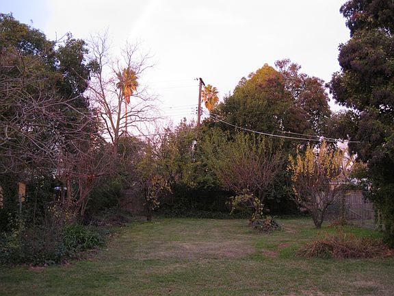 Long fenced back yard