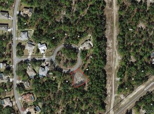 9 Hackberry Ct S, Homosassa, FL 34446