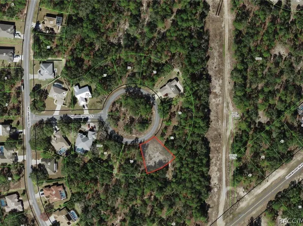 9 Hackberry Ct S, Homosassa, FL 34446