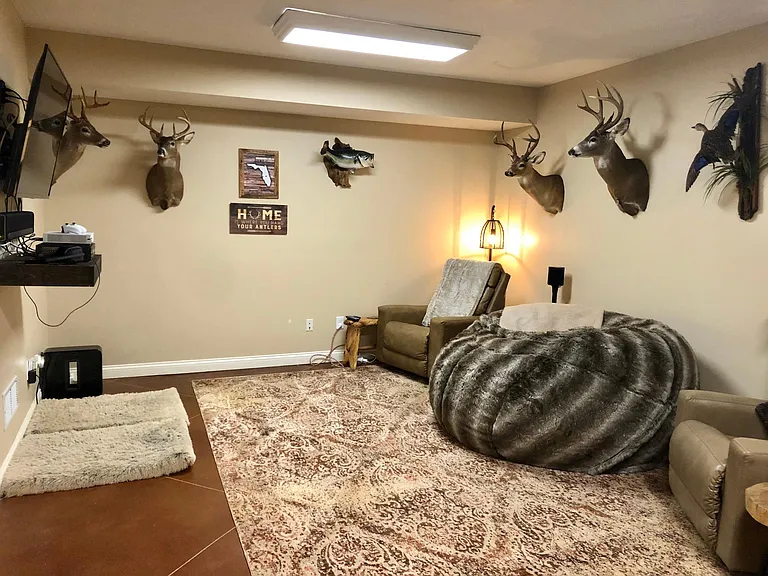 Basement Family Room