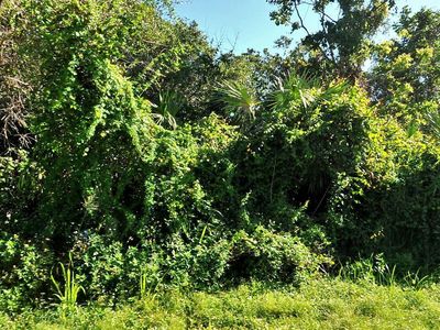2091 SW Judith Ln, Port Saint Lucie, FL, 34953