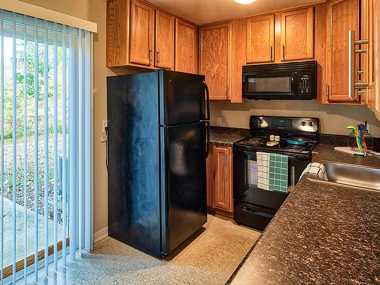 Sleek Energy Star Black Appliances