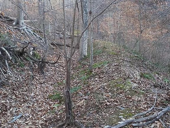 4th image of Drummer Hill Rd