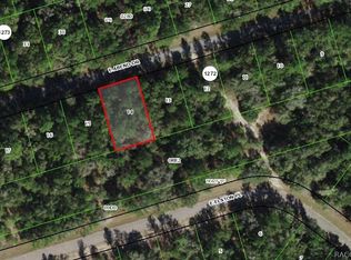 937 E Abend Dr, Citrus Springs, FL 34434