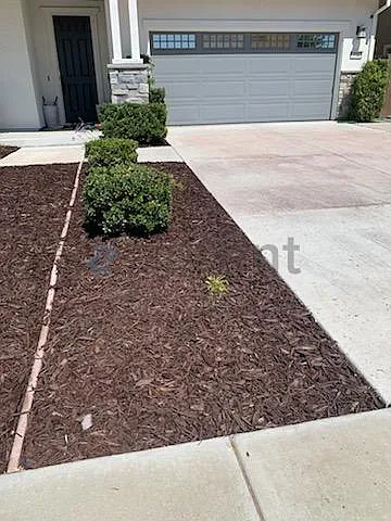 334 Mabel Josephine Dr — Photo 32
